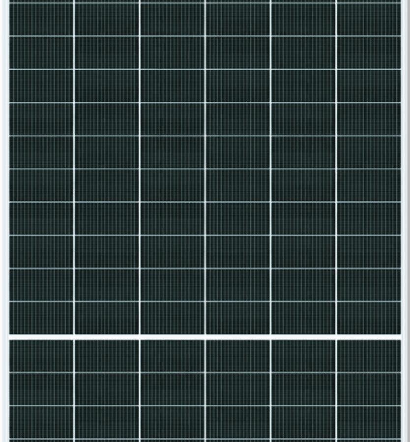 Reliance RNE Pro-L Series Solar Module
